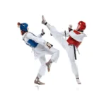 Taekwondo