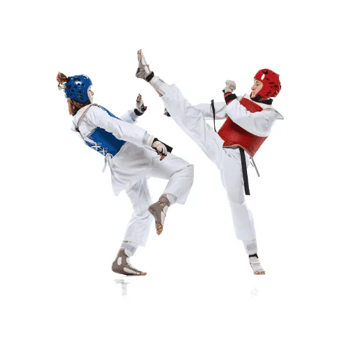 Taekwondo