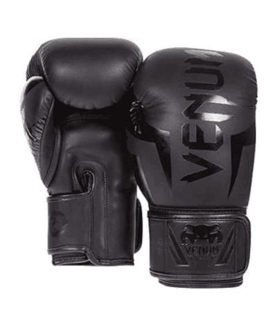 Boxing Gloves Venum