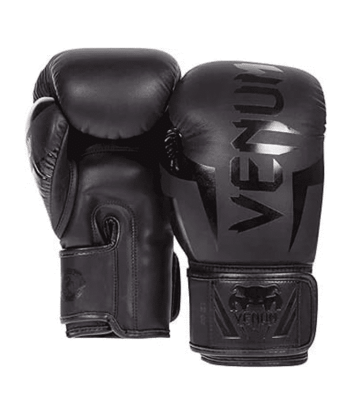 Boxing Gloves Venum