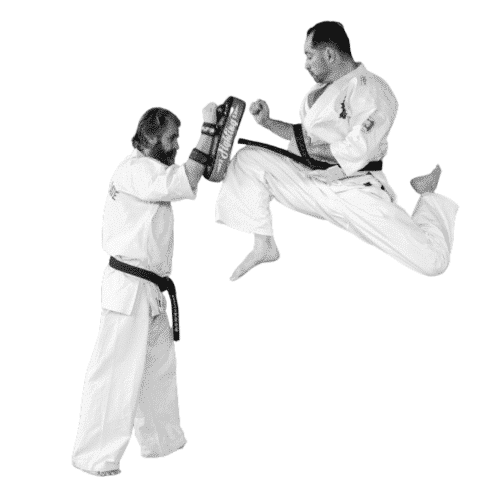 karate كاراتيه